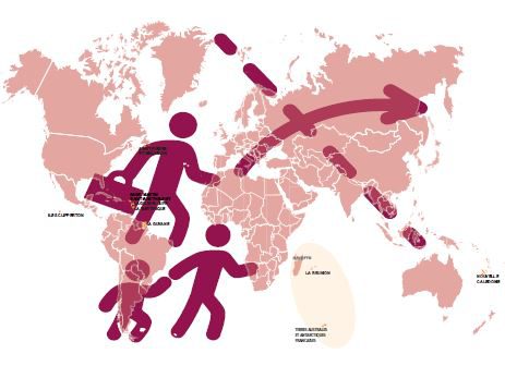 Les professionnels de MLEZI consultés par la CNCDH