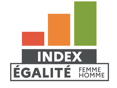 Index égalité professionnel femme/ homme de Mlezi Maore: 2021