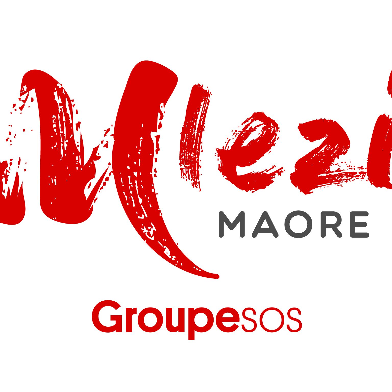 Responsable RSE/HSO